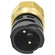 SENSOR INTERRUPTOR DE CONTATO COM 02 PINOS DO VOLVO MERCEDES BENZ IVECO MAN E VOLKSWAGEN - SENS52-I